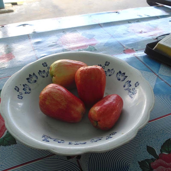 MykenLaraGuyana Food of Guyana